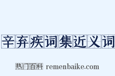 辛弃疾词集近义词是什么意思的图片